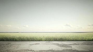 A road with a grassy field in the background photo