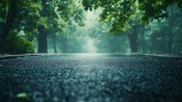 A rainy day in a forest with a wet road photo