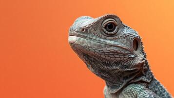 A lizard is staring at the camera with its mouth open photo