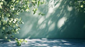 A tree with leaves is casting a shadow on a wall photo