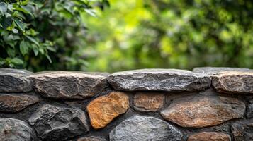 A stone wall with a green bush in the background photo