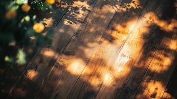 A wooden floor with a tree in the background and a shadow on the floor photo