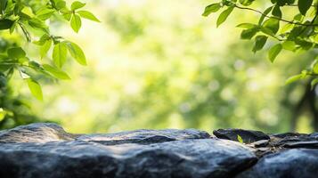 A rock ledge with a view of trees and leaves photo