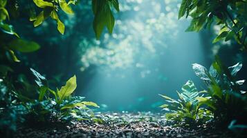 A forest scene with a path through it photo