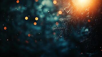 A blurry image of a tree with a lot of light shining on it photo
