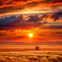 Stunning sunset over golden grass field with dramatic clouds in the sky photo