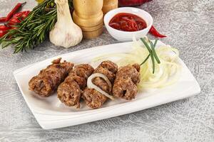 Beef kebab minced meat with onion photo