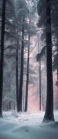 A forest with snow and trees in the background photo