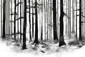 Black and white drawing of trees in the forest photo
