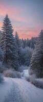 A snowy forest with trees and a path photo