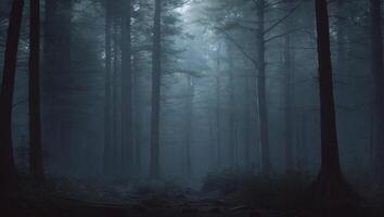 A dark forest with trees and fog photo
