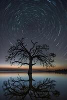 Star trails over a tree in the middle of a lake photo