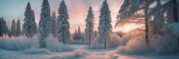 A snowy forest at sunset with trees photo