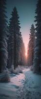 A snowy forest at sunset with trees and snow photo