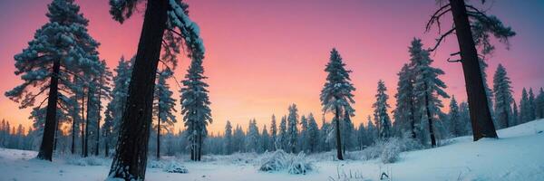 A snowy forest with trees and snow photo