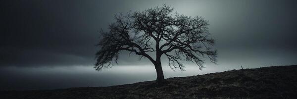A lone tree stands on a hill under a dark sky photo