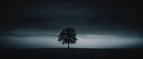 A lone tree stands in the middle of a field photo