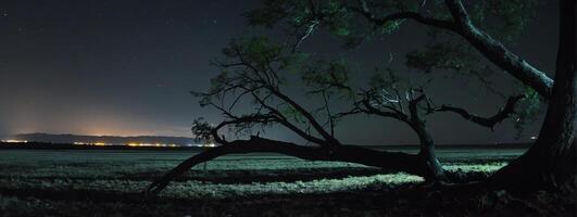 A tree in the middle of a field at night photo