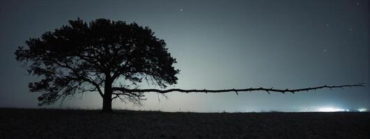 A lone tree stands in the middle of a field at night photo