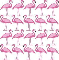Beautiful flamingo standing in a row, bird series vector