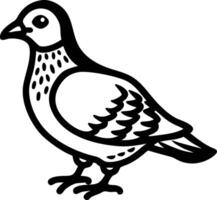 Black and White Pigeon Illustration for Decoration and Design Projects vector