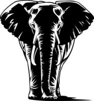Elephant Front View Illustration for Art Prints and Graphic Design vector