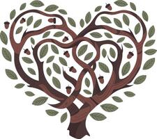 Heart Shaped Tree Branches with Leaves and Acorns Illustration vector