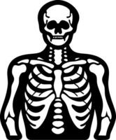 Human Skeleton Torso Illustration for Educational and Design Use vector