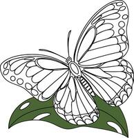 Intricate Butterfly Floral Art for Coloring and Design Projects vector