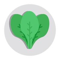 Modern design icon of spinach vector
