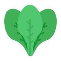 Modern design icon of spinach vector