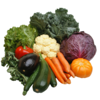 Fresh assorted vegetables arranged beautifully png
