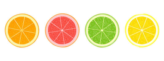 Citrus fruit slices of orange, grapefruit, lime and lemon isolated on white background png