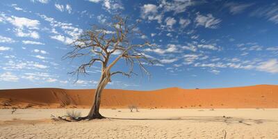 Lonely dried tree in a yellow desert landscape photo