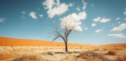 Lone dried tree in a steppe landscape photo