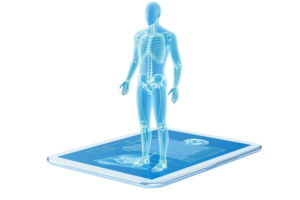 A digital human figure displayed on a 3D interface, showcasing anatomical features and structure. png