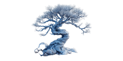 Twisted Tree Figure Isolated on Transparent Background png