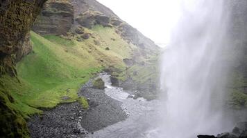 Seljalandsfoss Waterfall with Moss Covered Rocks in Iceland video