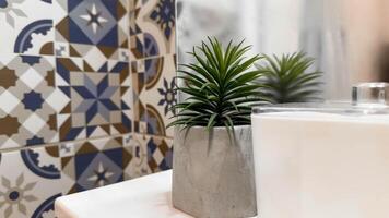 Minimalist Bathroom Decor with Concrete Planter and Patterned Ceramic Tiles. A stylish and modern setup featuring a green plant in a concrete pot alongside intricate geometric tile patterns. photo