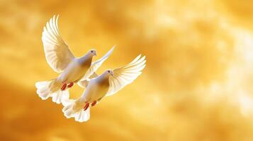 Valentine endless passion. Two doves flying against a golden background photo
