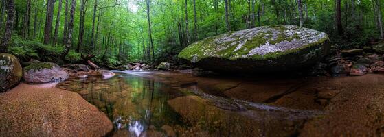 Serene forest scene with a stream and large rock formation. photo