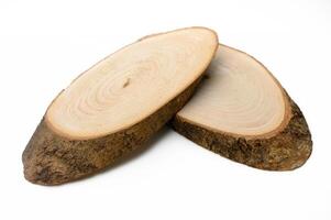 Unique cross-section of fresh, unprocessed wood slices showcasing natural grain patterns and textures photo