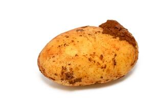 Unique russet potato showcasing natural imperfections in a bright setting photo