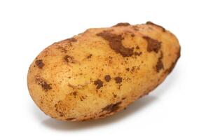 Perfectly imperfect potato showcasing earthy tones and rustic charm on clean background photo