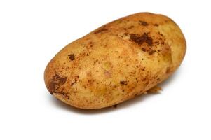Unique rustic potato with earthy texture and natural imperfections on a clean white background photo