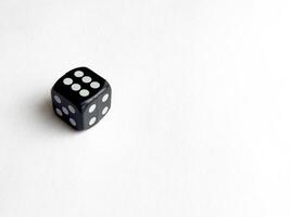 Single black dice with white dots on blank white background photo