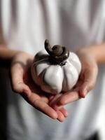 Close up of hands gently holding small white ceramic pumpkin with twisted brown stem against blurred background. Minimalistic and symbolic autumn or Halloween decor and seasonal. photo