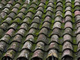 Moss covered clay roof tiles in rustic pattern photo