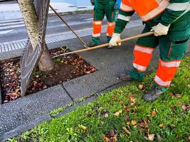 Maintenance workers cleaning urban park area in autumn setting photo