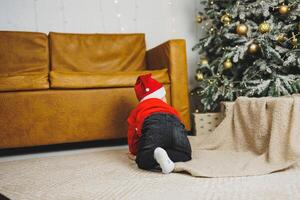 A little boy 1 year old sits in a basket against the background of a Christmas tree. A child in a red New Year's wind near the Christmas tree photo